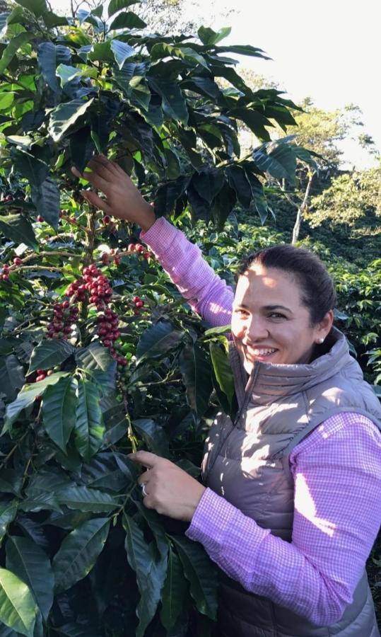 Roots Casa Rustica Ξενοδοχείο Valle Hornito Εξωτερικό φωτογραφία